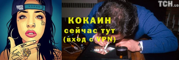 мяу мяу кристалл Богданович