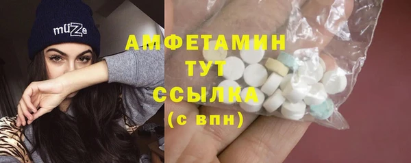 ALPHA PVP Богородицк