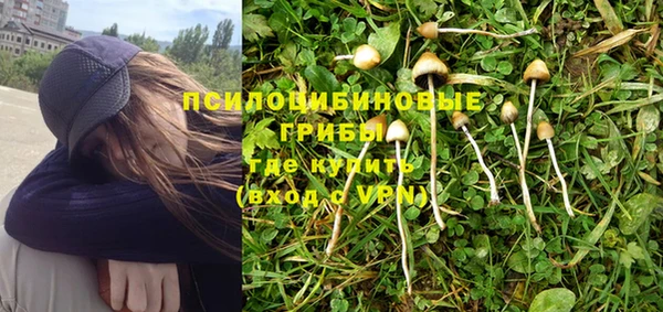 ALPHA PVP Богородицк
