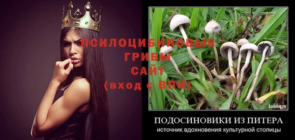крисы Белоозёрский