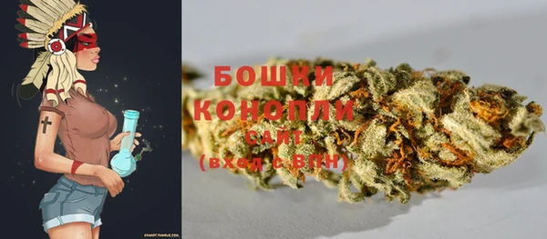 крисы Белоозёрский